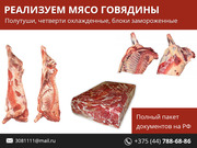 Реализуем мясо говядины. Полный пакет документов на РФ.